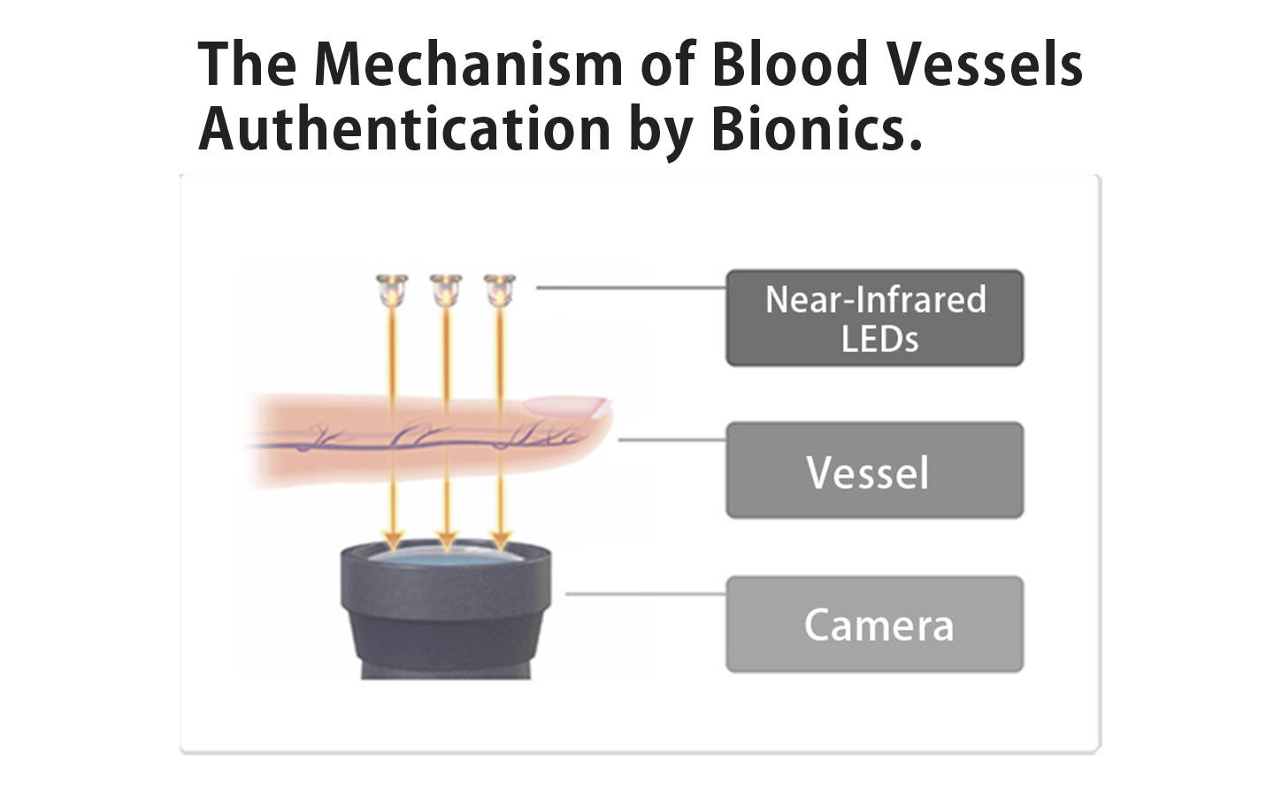 image of the mechanism of blood vessel authentication system